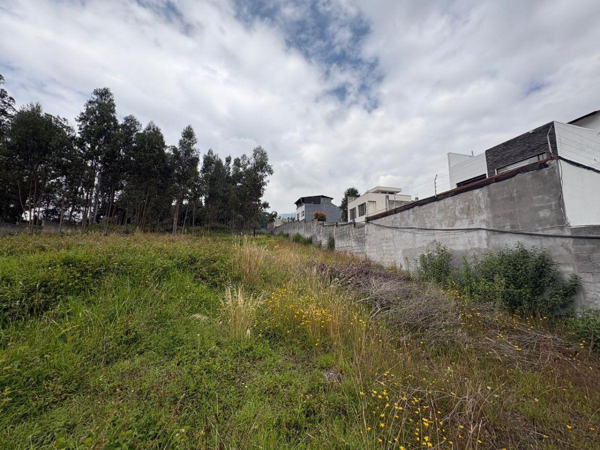 Vendo Terreno en La Macarena II, Conocoto, Quito — imagen 6