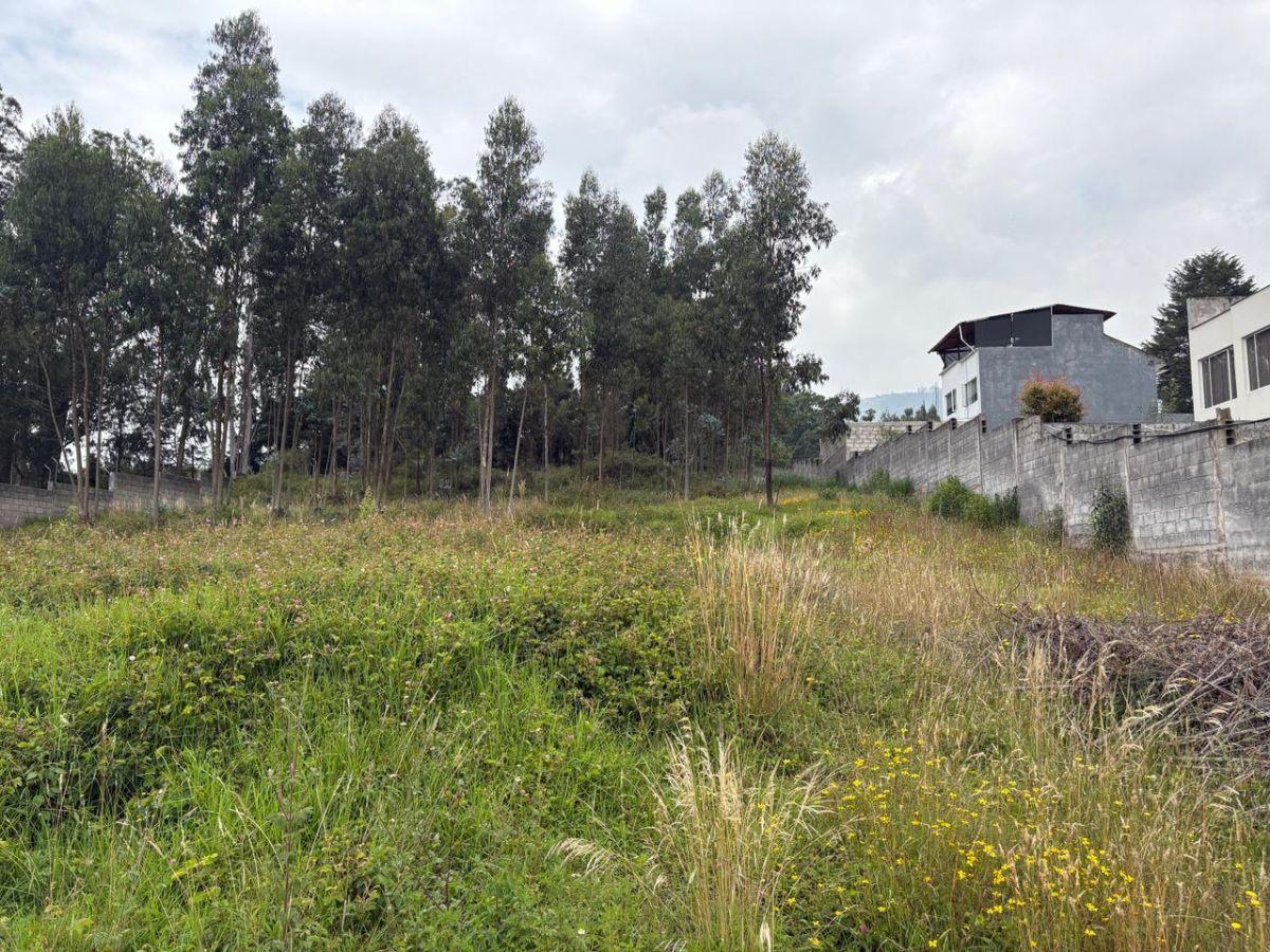 Vendo Terreno en La Macarena II, Conocoto, Quito — imagen 4