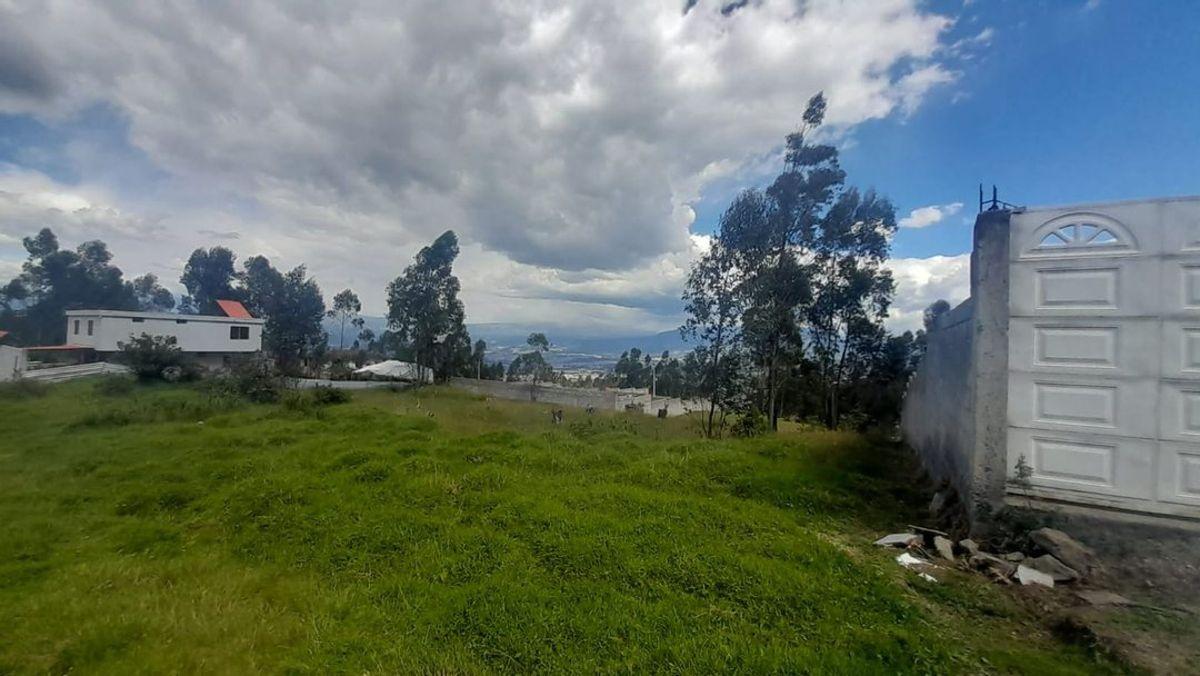 Terreno Independiente en Venta Puente 3 600 m² — imagen 10