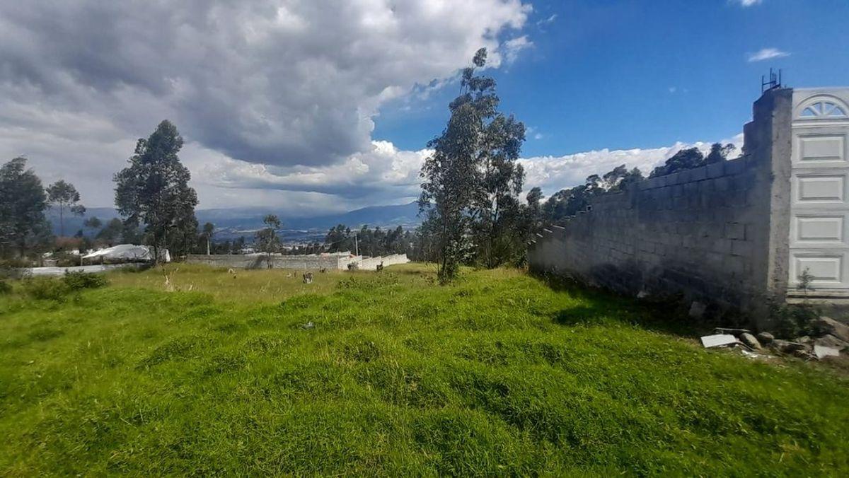Terreno Independiente en Venta Puente 3 600 m² — imagen 9