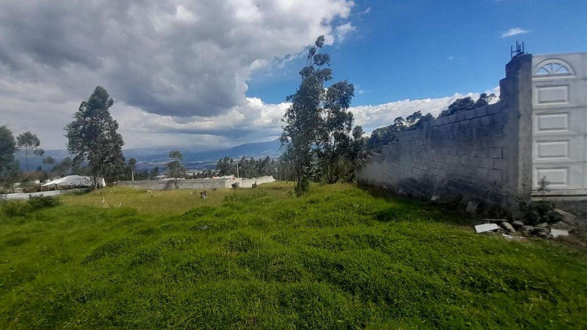Terreno Independiente en Venta Puente 3 600 m² — imagen 8