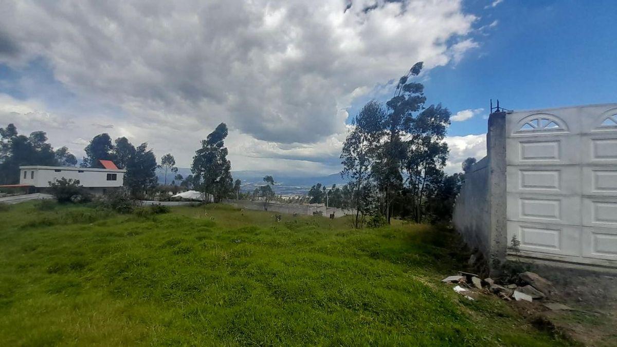 Terreno Independiente en Venta Puente 3 600 m² — imagen 7