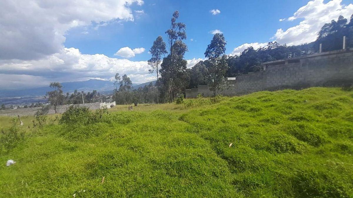 Terreno Independiente en Venta Puente 3 600 m² — imagen 6