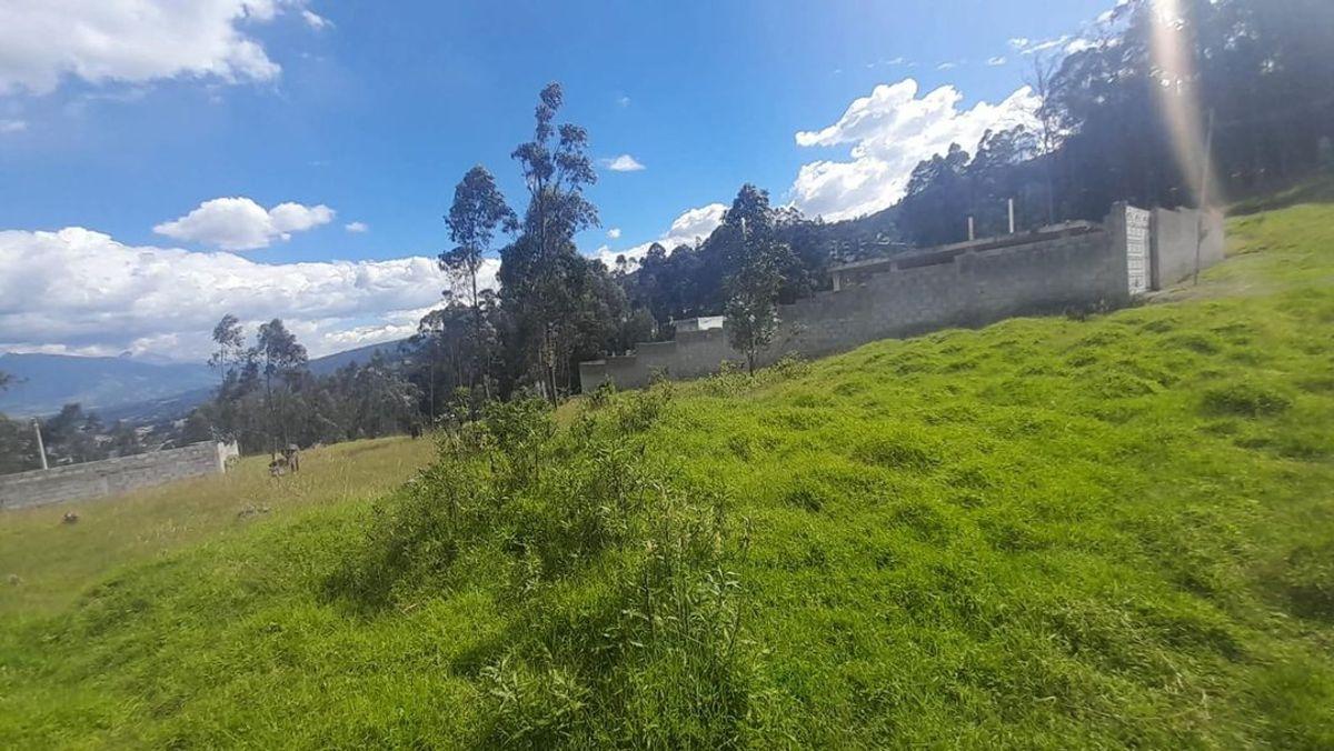 Terreno Independiente en Venta Puente 3 600 m² — imagen 5