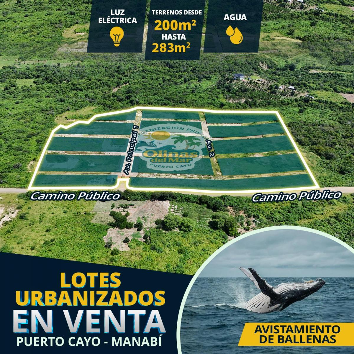 Lotes, Propiedades en Venta a Crédito | Totalmente Garantizado, Manabí — imagen 3