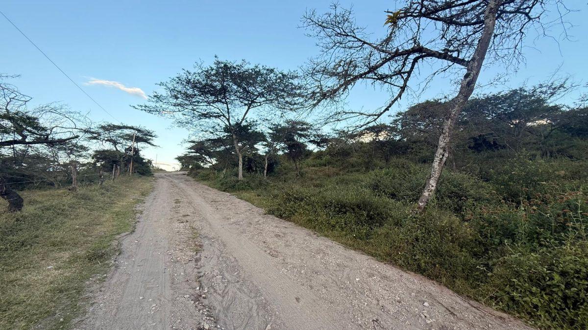 De Oportunidad Vendo Terreno en Urcuquí, Vía Asfaltada! Plusvalía, Imbabura — imagen 10