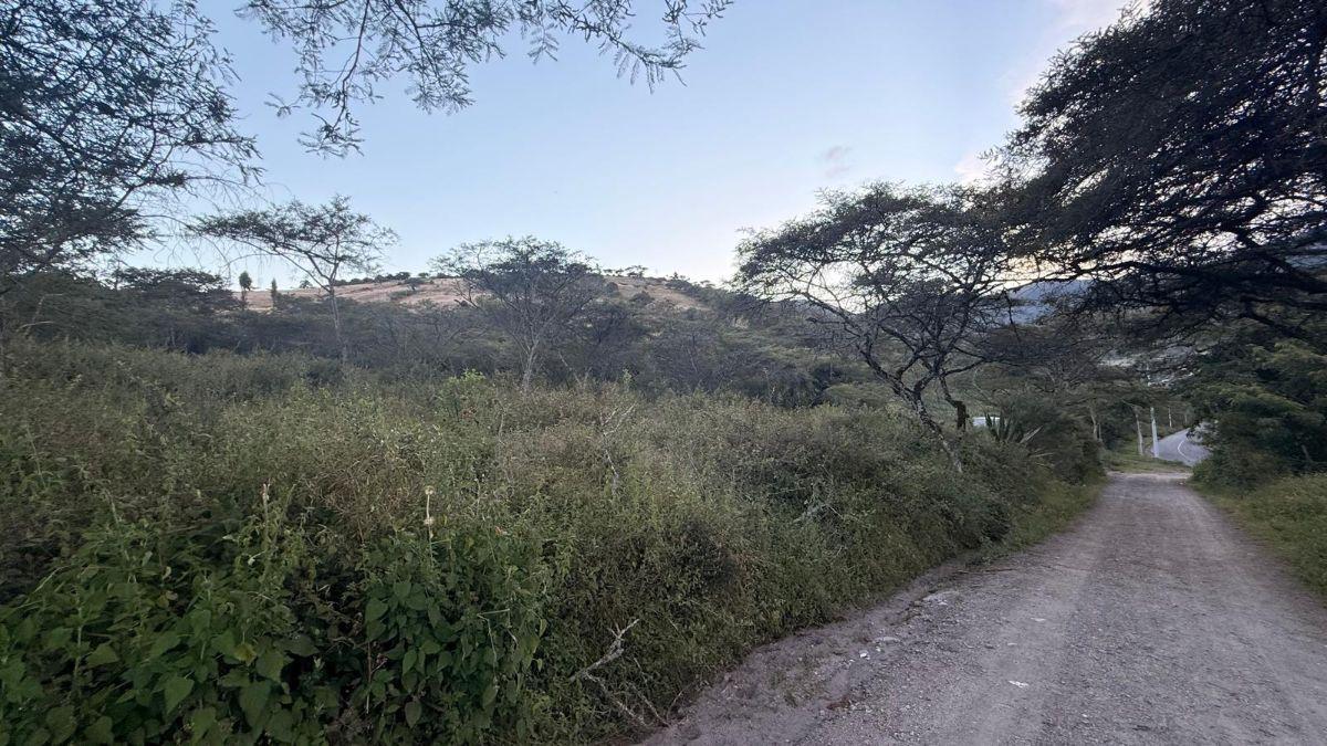 De Oportunidad Vendo Terreno en Urcuquí, Vía Asfaltada! Plusvalía, Imbabura — imagen 7