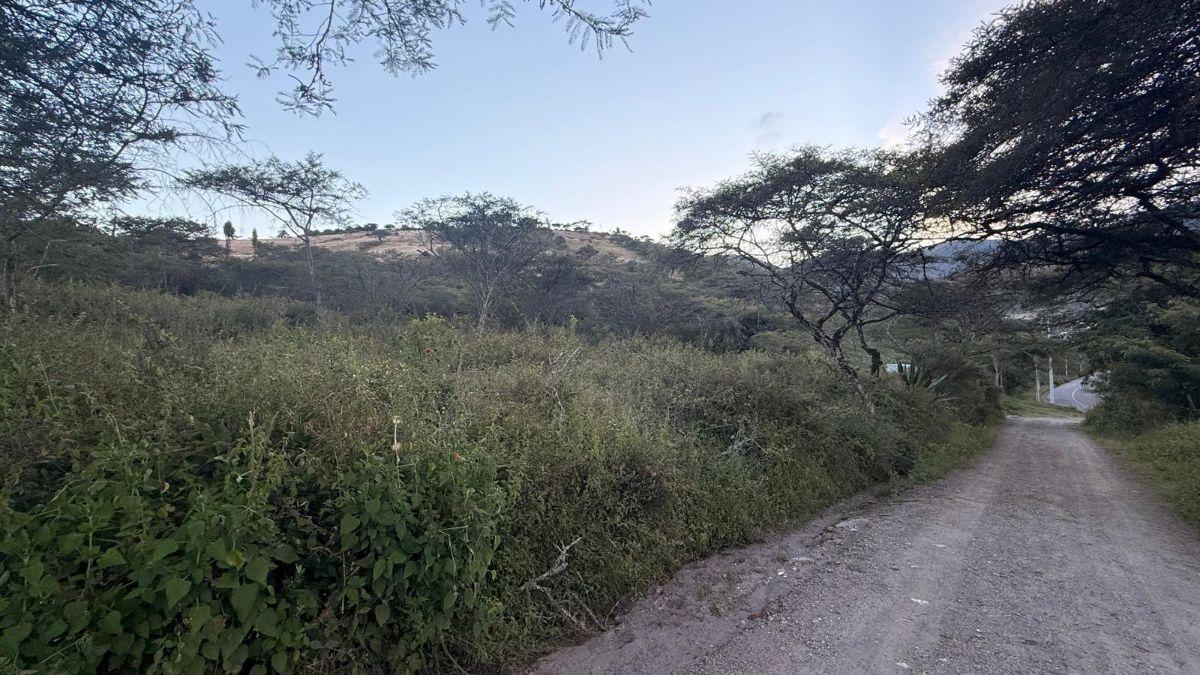 De Oportunidad Vendo Terreno en Urcuquí, Vía Asfaltada! Plusvalía, Imbabura — imagen 6