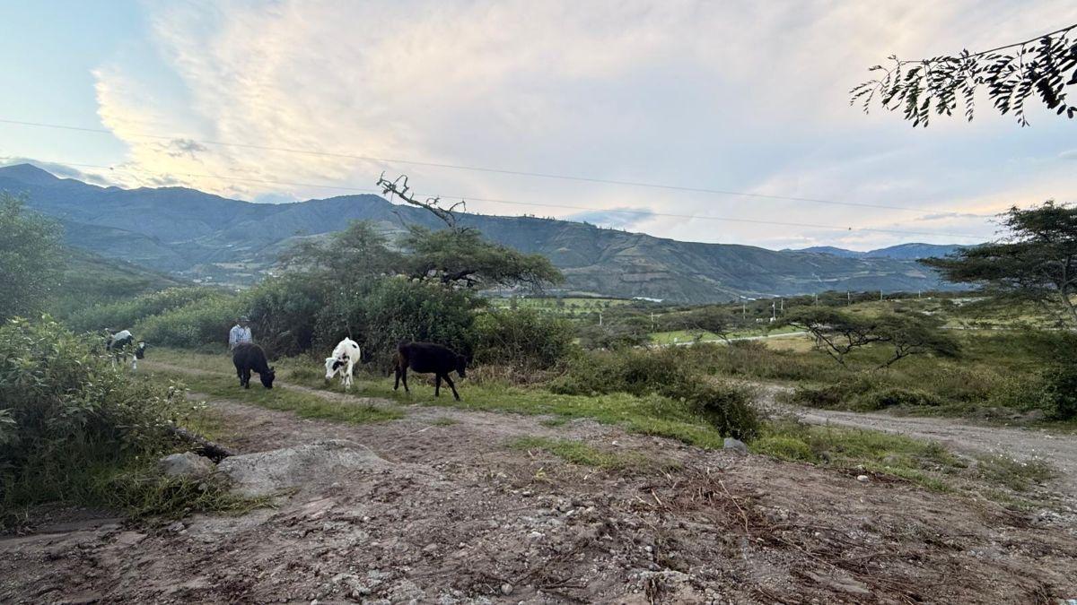 De Oportunidad Vendo Terreno en Urcuquí, Vía Asfaltada! Plusvalía, Imbabura — imagen 4