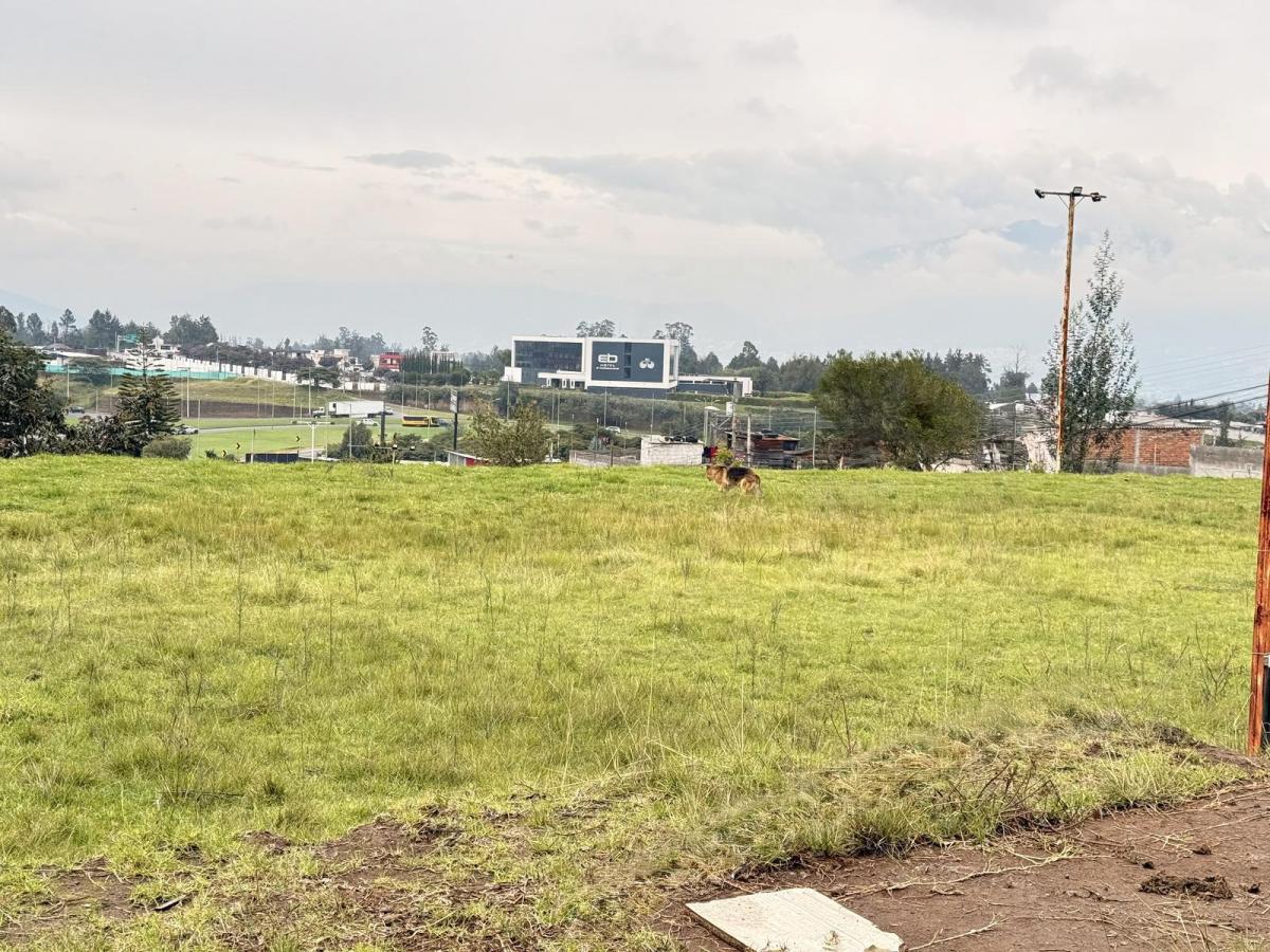 Venta Terrenos Tababela a 2 Cuadras Vía Principal Aeropuerto — imagen 8