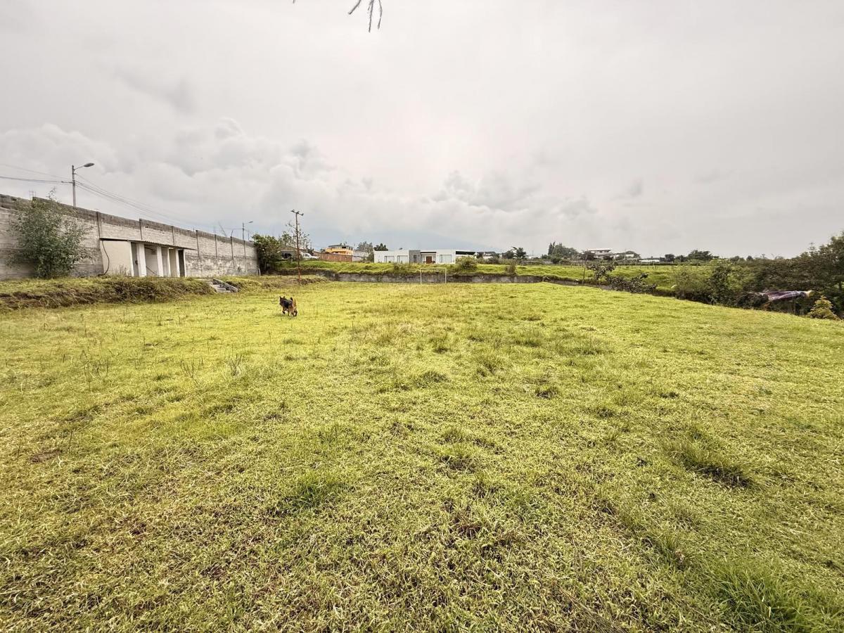 Venta Terrenos Tababela a 2 Cuadras Vía Principal Aeropuerto — imagen 7