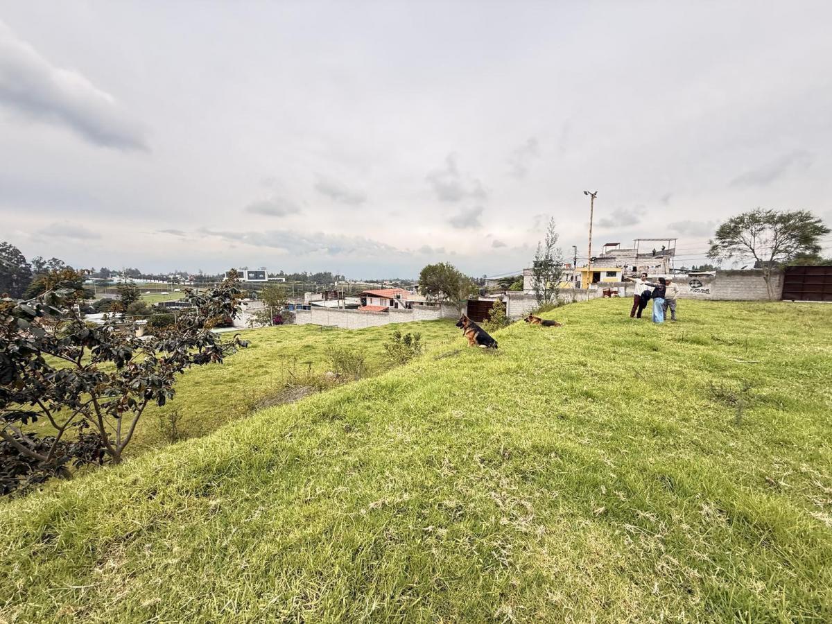 Venta Terrenos Tababela a 2 Cuadras Vía Principal Aeropuerto — imagen 5
