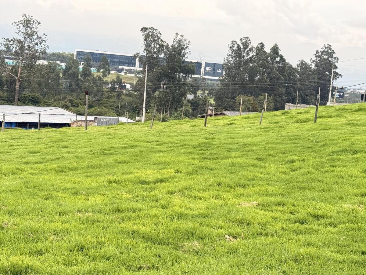 Venta Terrenos Tababela a 2 Cuadras Vía Principal Aeropuerto — imagen 4