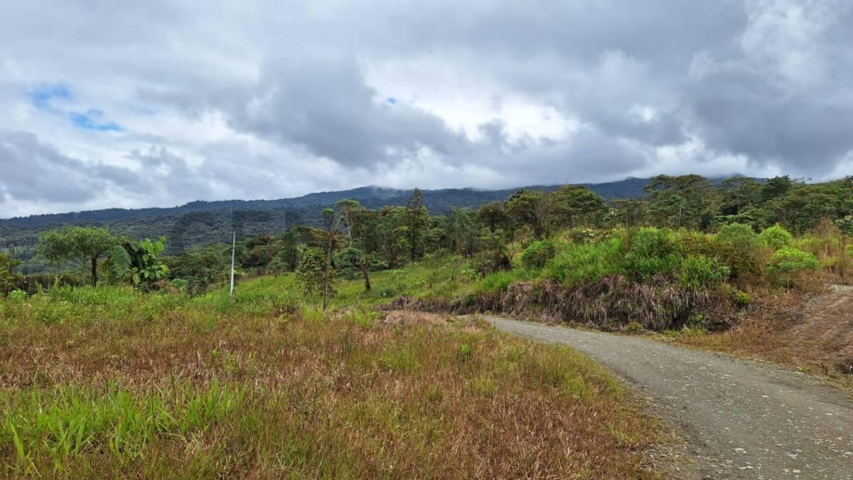 Terreno en Venta12.8 Ha, El Cielito, Canton Mira, Provincia del Carchi, Carchi — imagen 7