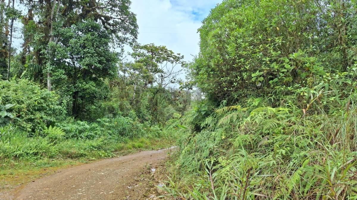 Terreno en Venta12.8 Ha, El Cielito, Canton Mira, Provincia del Carchi, Carchi — imagen 6
