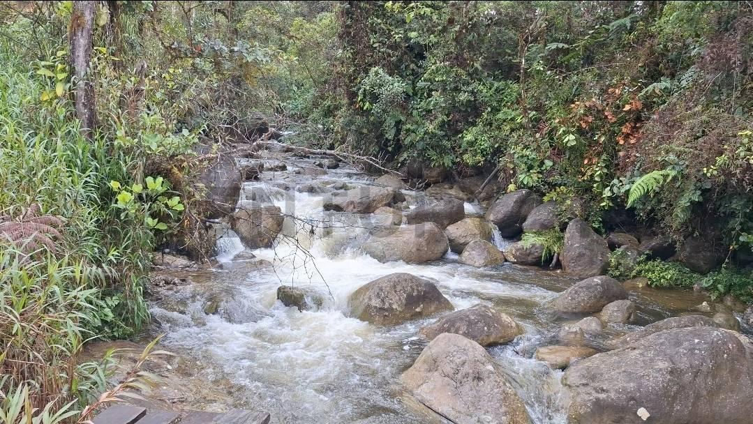 Terreno en Venta12.8 Ha, El Cielito, Canton Mira, Provincia del Carchi, Carchi — imagen 5