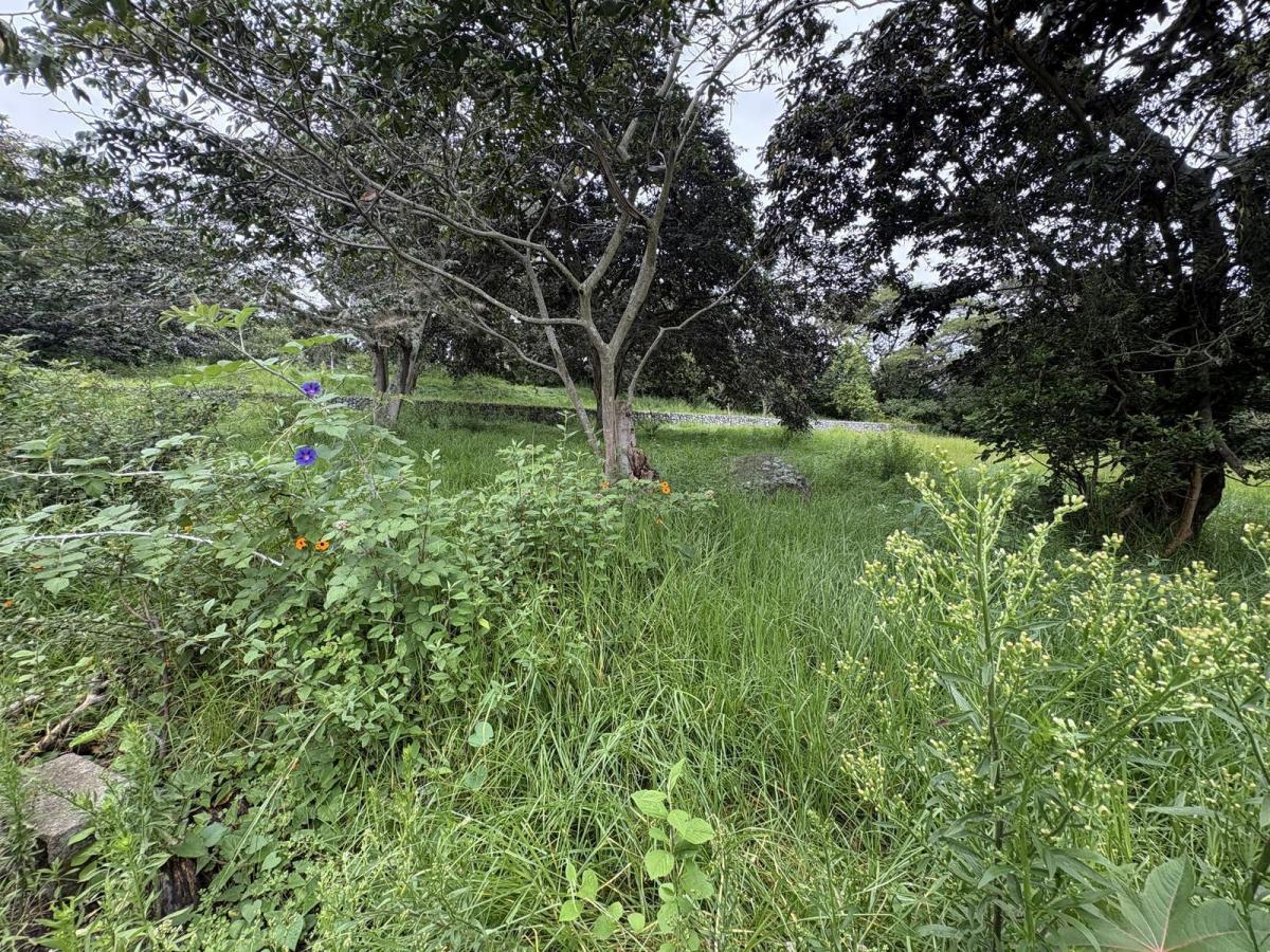 Terreno de Venta Tumbaco Conjunto Residencial Algarrobos — imagen 6