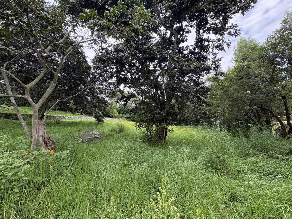 Terreno de Venta Tumbaco Conjunto Residencial Algarrobos — imagen 4