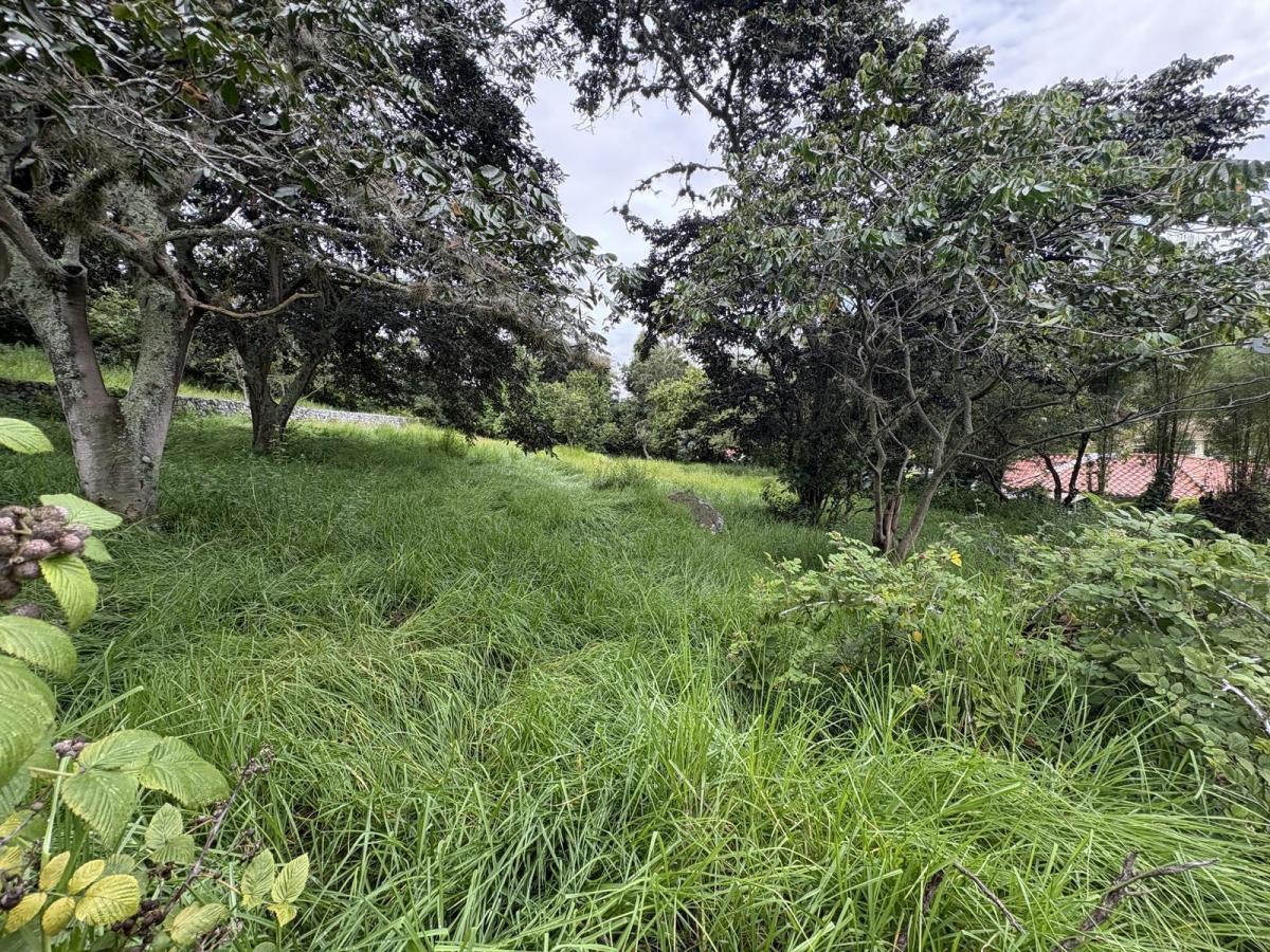 Terreno de Venta Tumbaco Conjunto Residencial Algarrobos — imagen 3