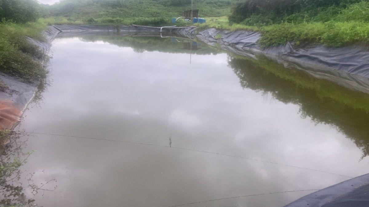 Vendo Terreno de 6.76 Ha Vía Rocafuerte - Manta, Manabí — imagen 6