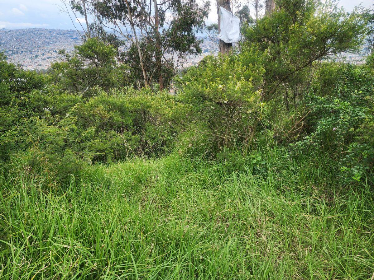 Vendo Terreno 2.818 m Inclinado Sector Bellavista de Carretas (Calle Capri) — imagen 10