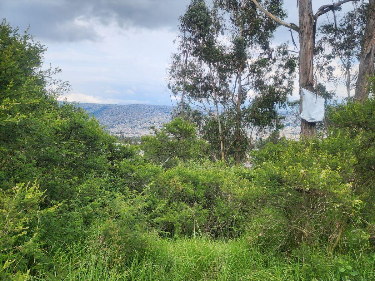 Vendo Terreno 2.818 m Inclinado Sector Bellavista de Carretas (Calle Capri) — imagen 9
