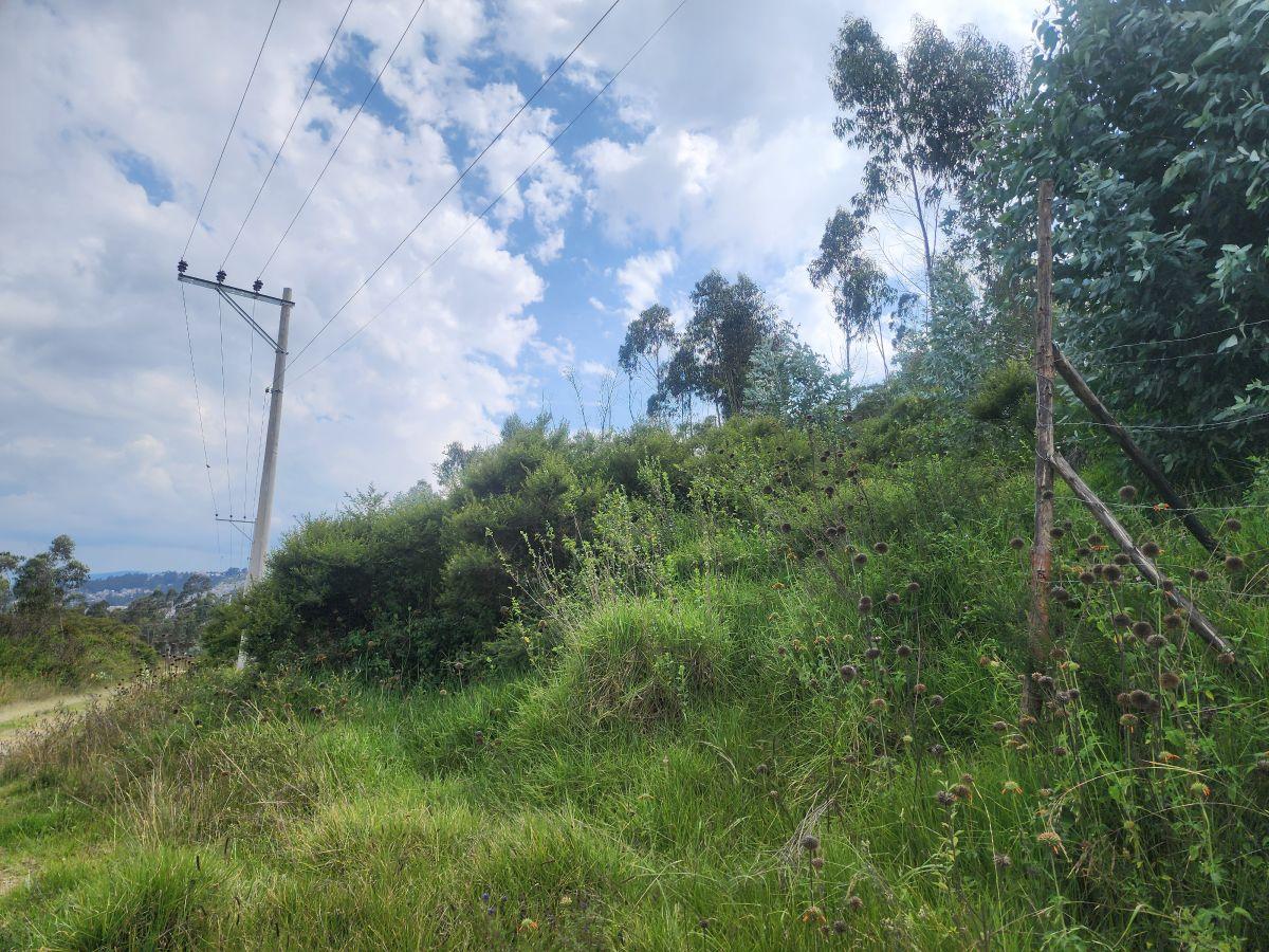 Vendo Terreno 2.818 m Inclinado Sector Bellavista de Carretas (Calle Capri) — imagen 4