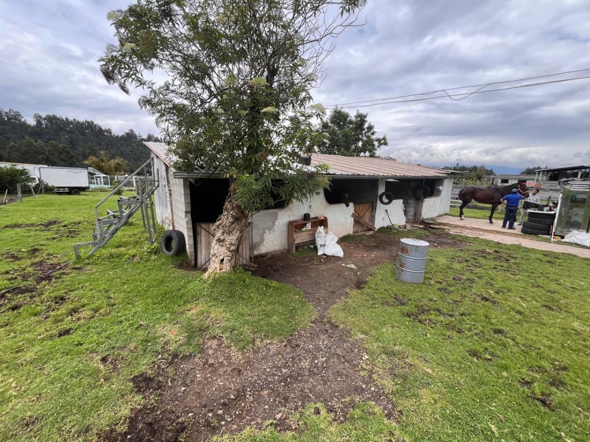 Terreno en Venta Sangolquí Selva Alegre 3.678 m² — imagen 6
