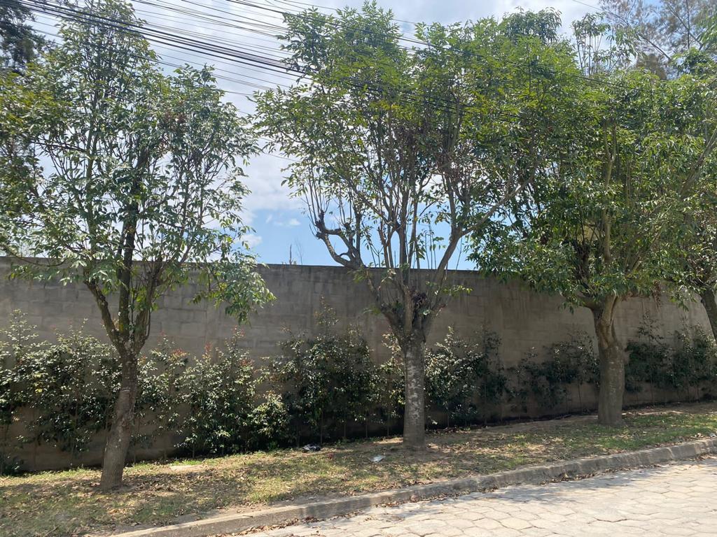 Espectacular Terreno de Venta en La Mejor Zona de Tumbaco, La Cerámica — imagen 6