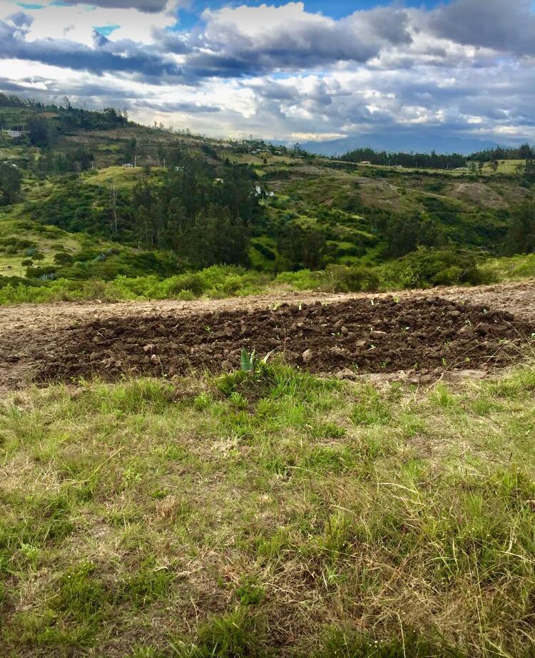 Terreno en Los Chillos — imagen 7