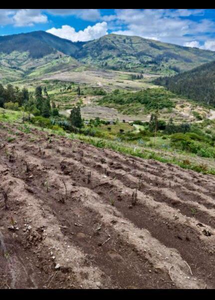 Terreno en Los Chillos — imagen 6
