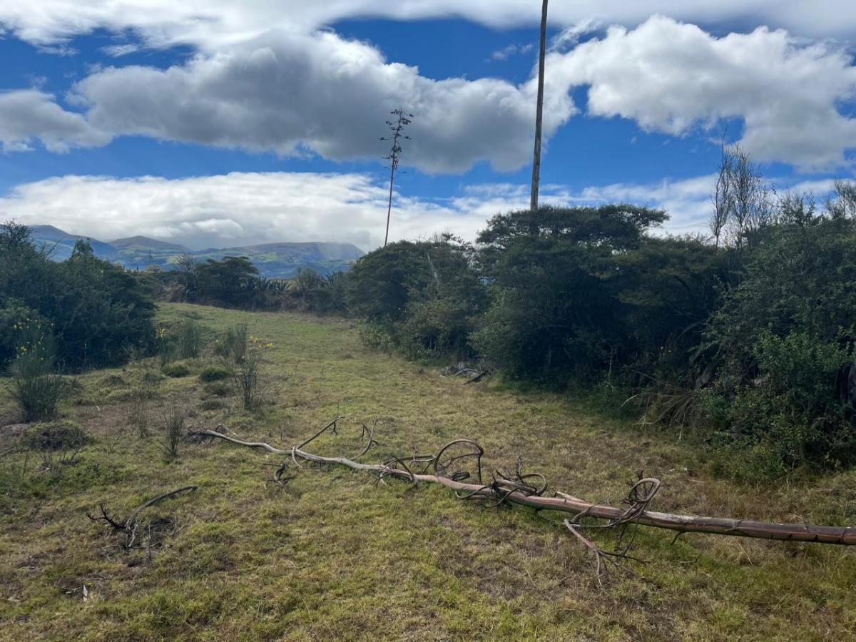 Terreno en Los Chillos — imagen 4
