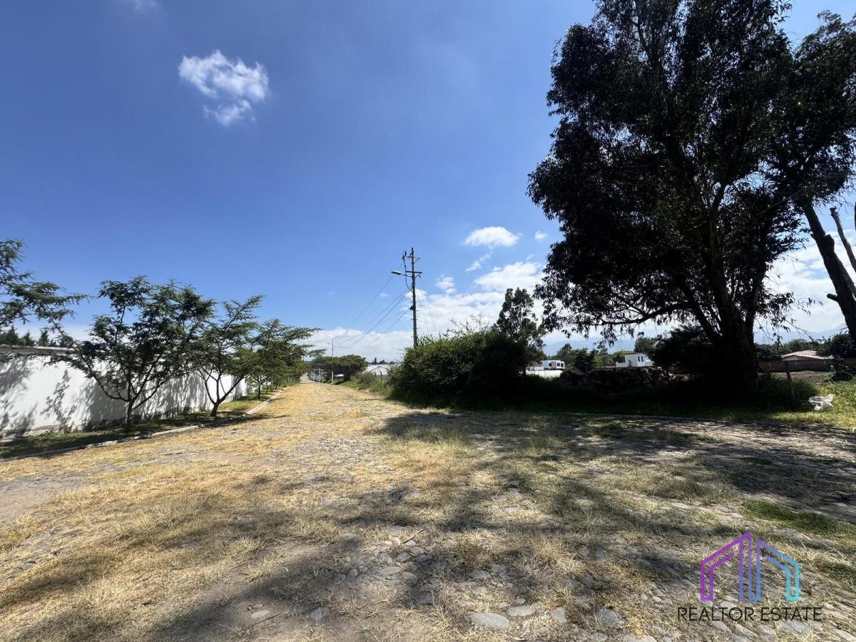Terreno en Tumbaco — imagen 9