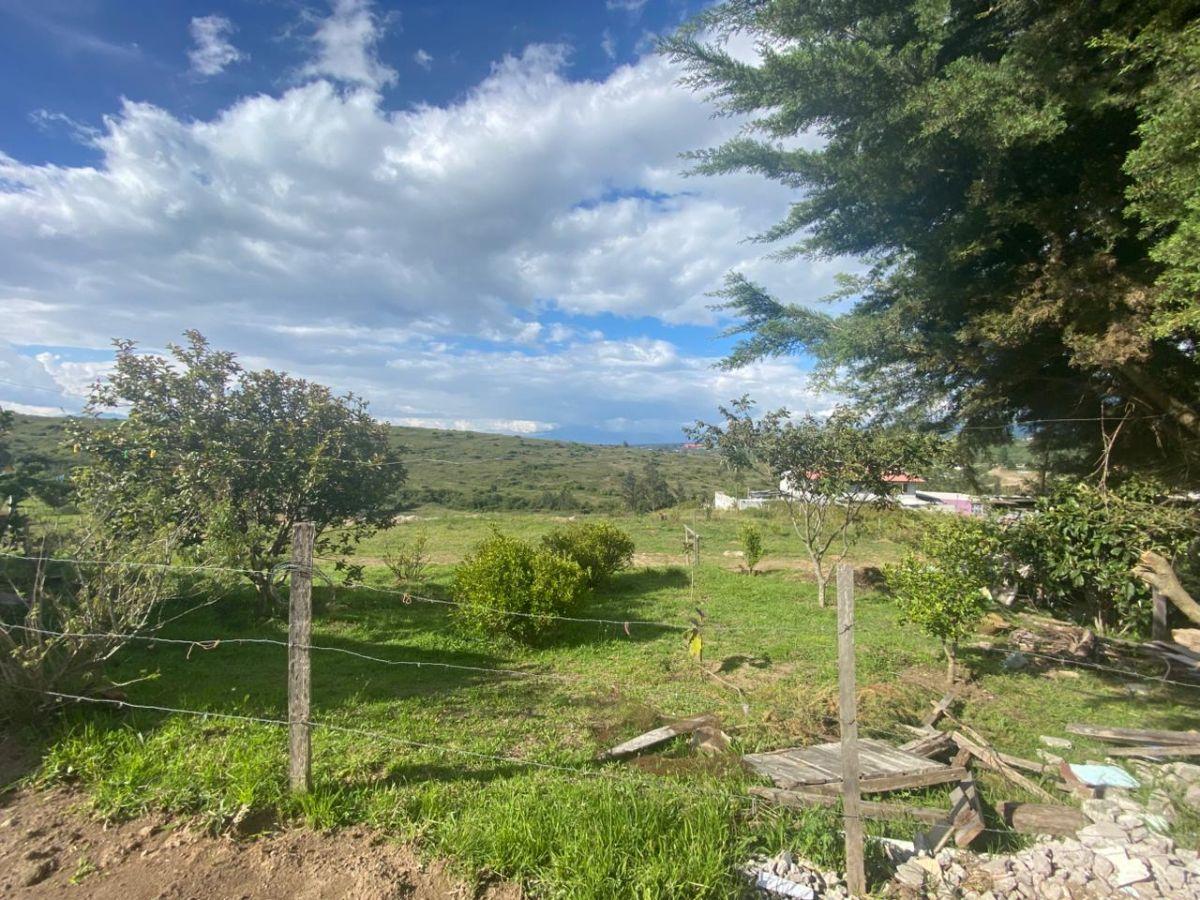 En Venta 600 m² en Tumbaco Sector Polígono en Derechos y Acciones — imagen 6