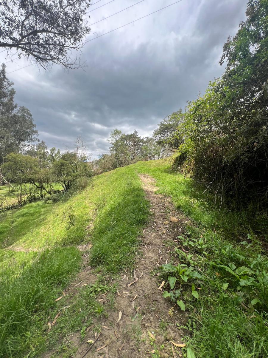 Terreno de 2100 m² en Venta Sangolqui con Acceso Asfaltado — imagen 9