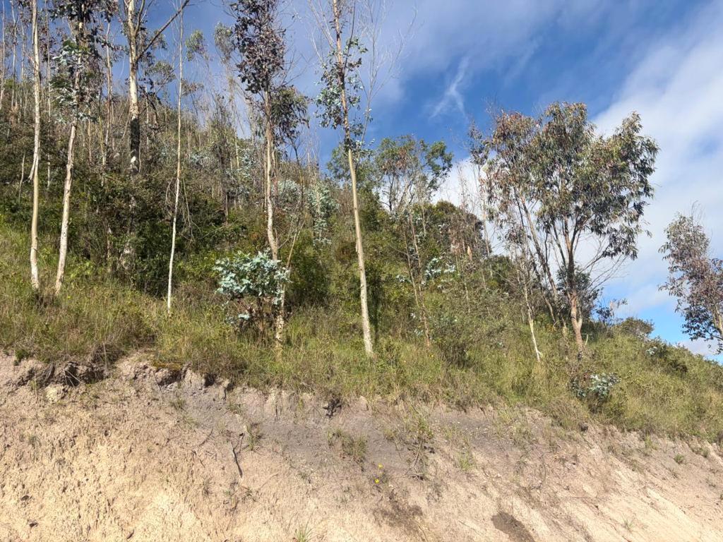 Hermoso Terreno Campestre 13.305 m² en Venta Vía Cumbe – Cuenca Ec, Azuay — imagen 8