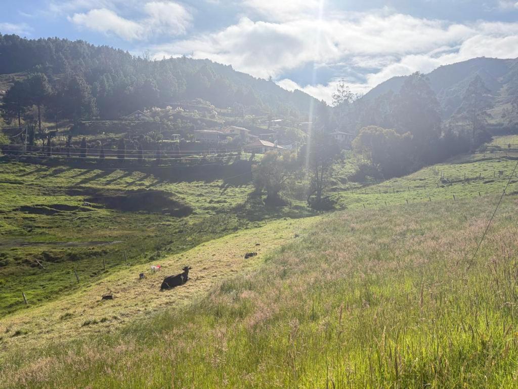 Hermoso Terreno Campestre 13.305 m² en Venta Vía Cumbe – Cuenca Ec, Azuay — imagen 6