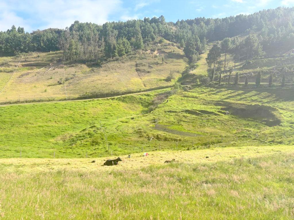 Hermoso Terreno Campestre 13.305 m² en Venta Vía Cumbe – Cuenca Ec, Azuay — imagen 4