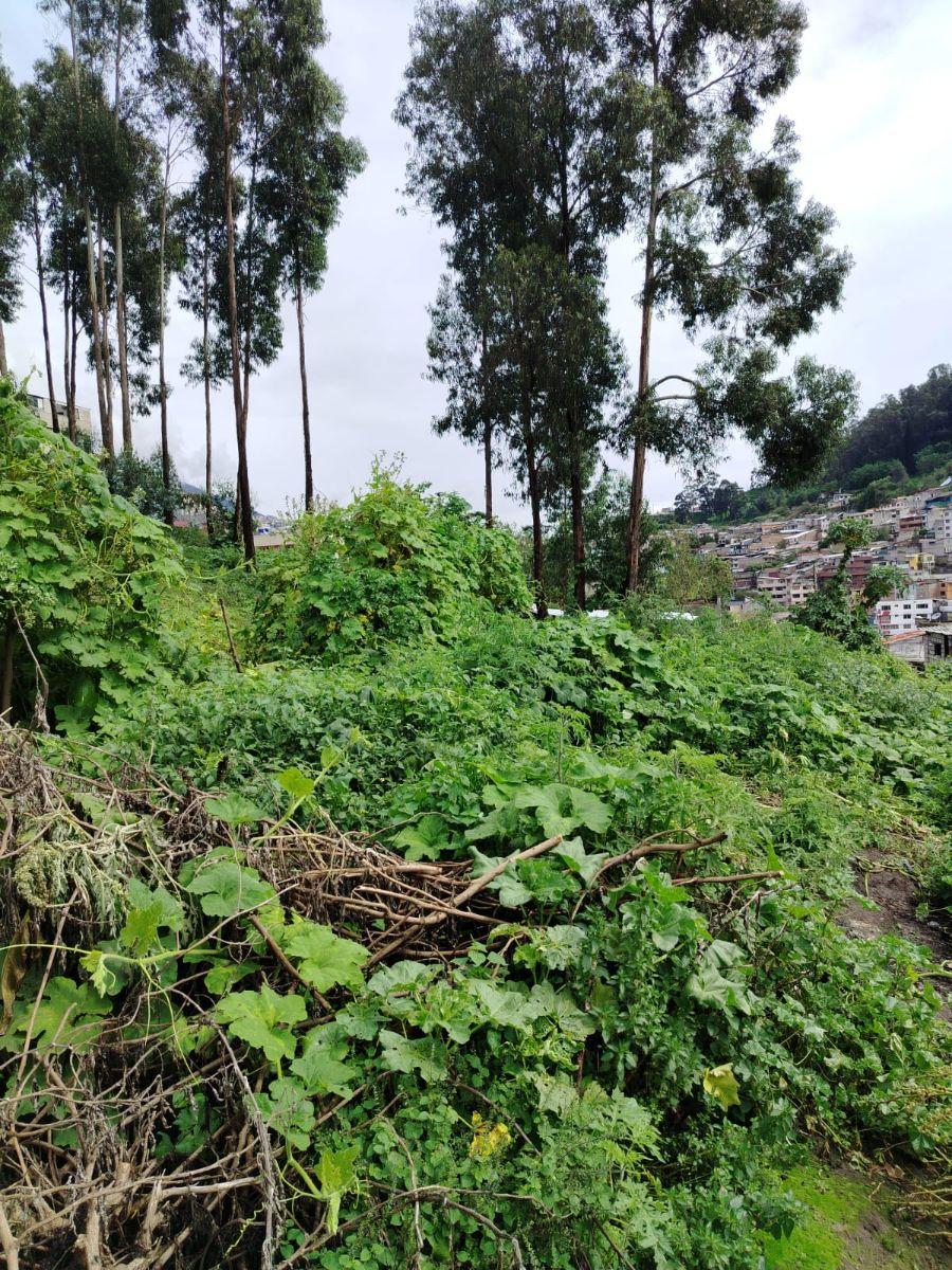 Terreno Grande de Oportunidad 3140 m — imagen 6