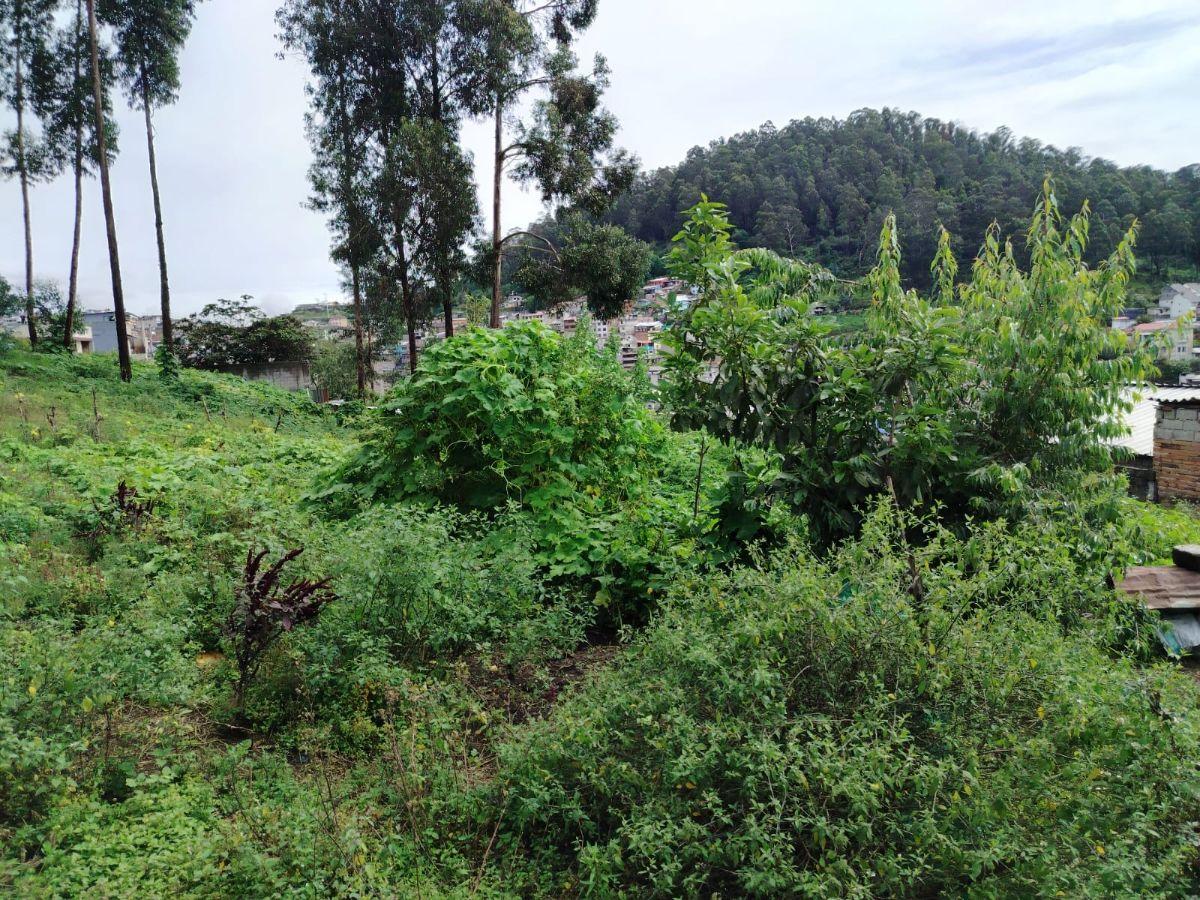Terreno Grande de Oportunidad 3140 m — imagen 4