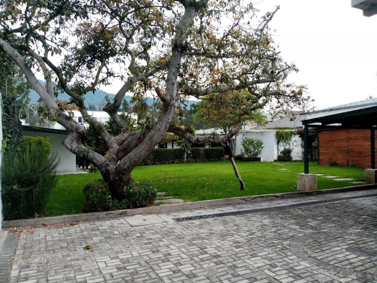 Venta Casa 4 Dorm., Cumbayá — imagen 9