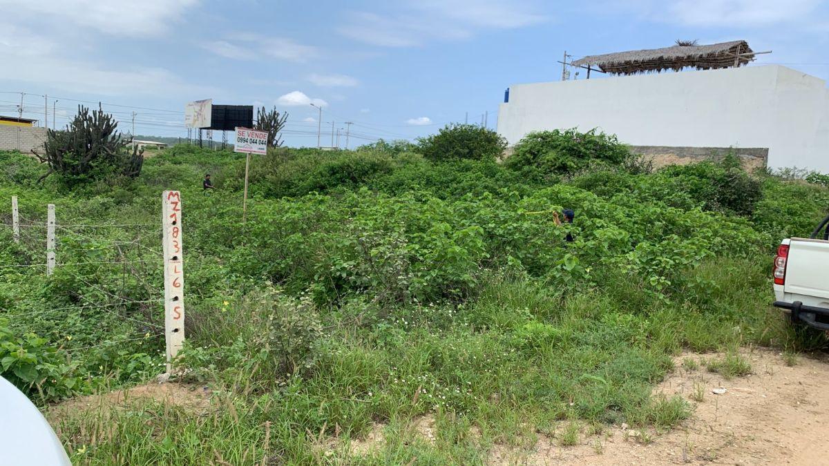 Vendo Solar en Punta Blanca Entrada 5 — imagen 6