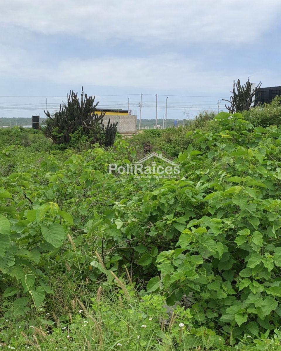 Vendo Solar en Punta Blanca Entrada 5 — imagen 3