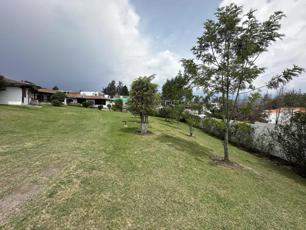 Terreno de Venta en La Viña Alta Ideal Para Proyecto — imagen 5
