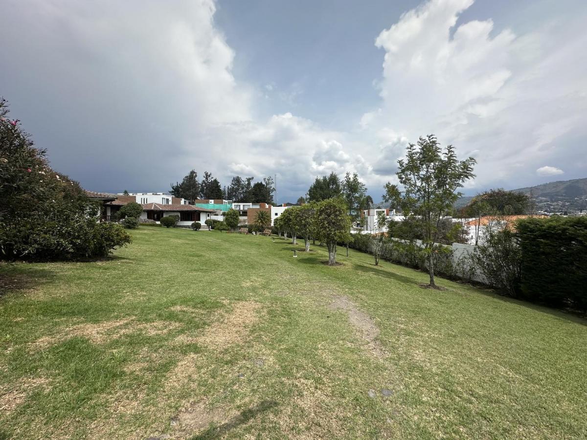 Terreno de Venta en La Viña Alta Ideal Para Proyecto — imagen 3
