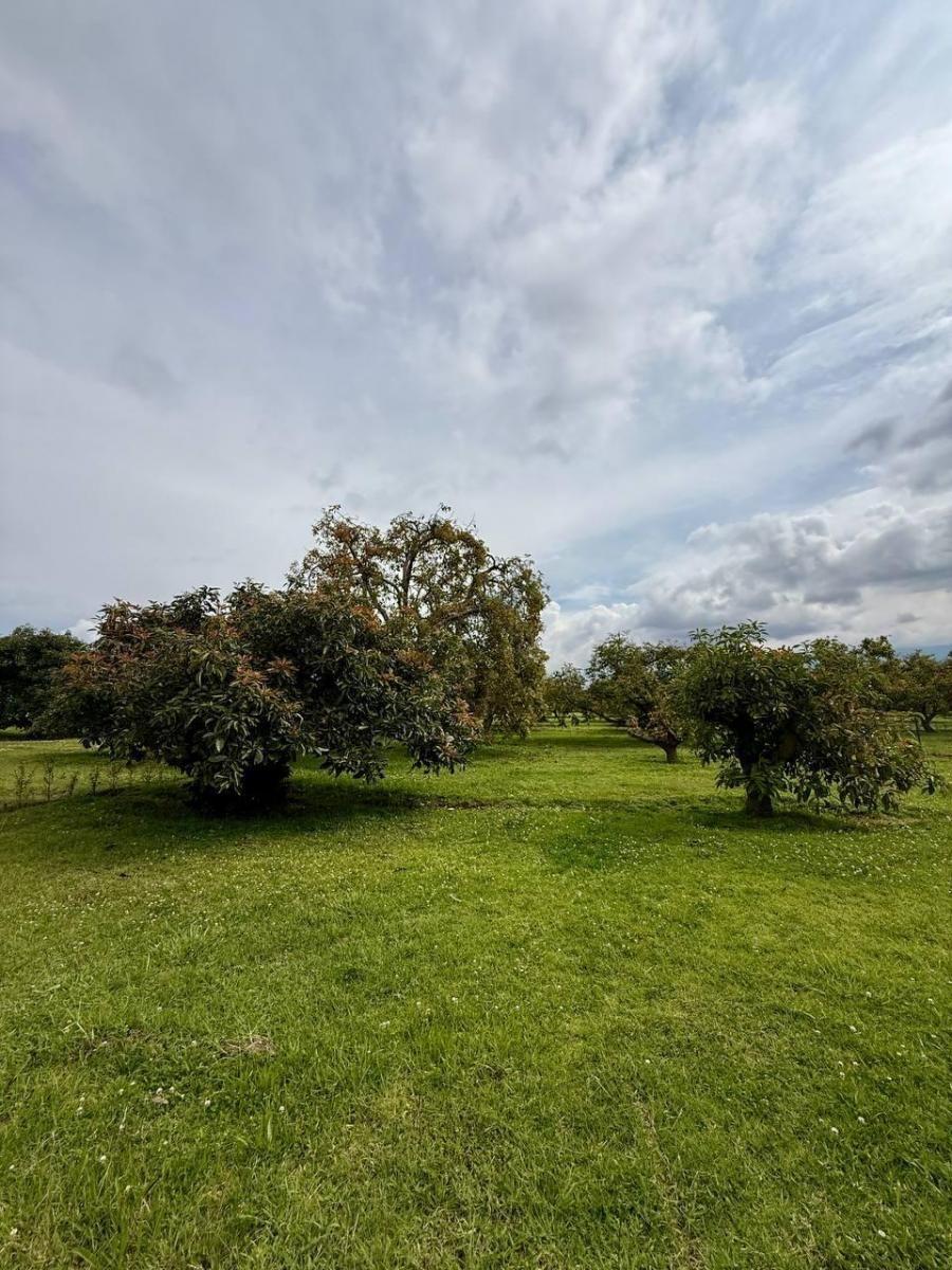 Terreno - en Venta - Puembo 819 m² — imagen 9