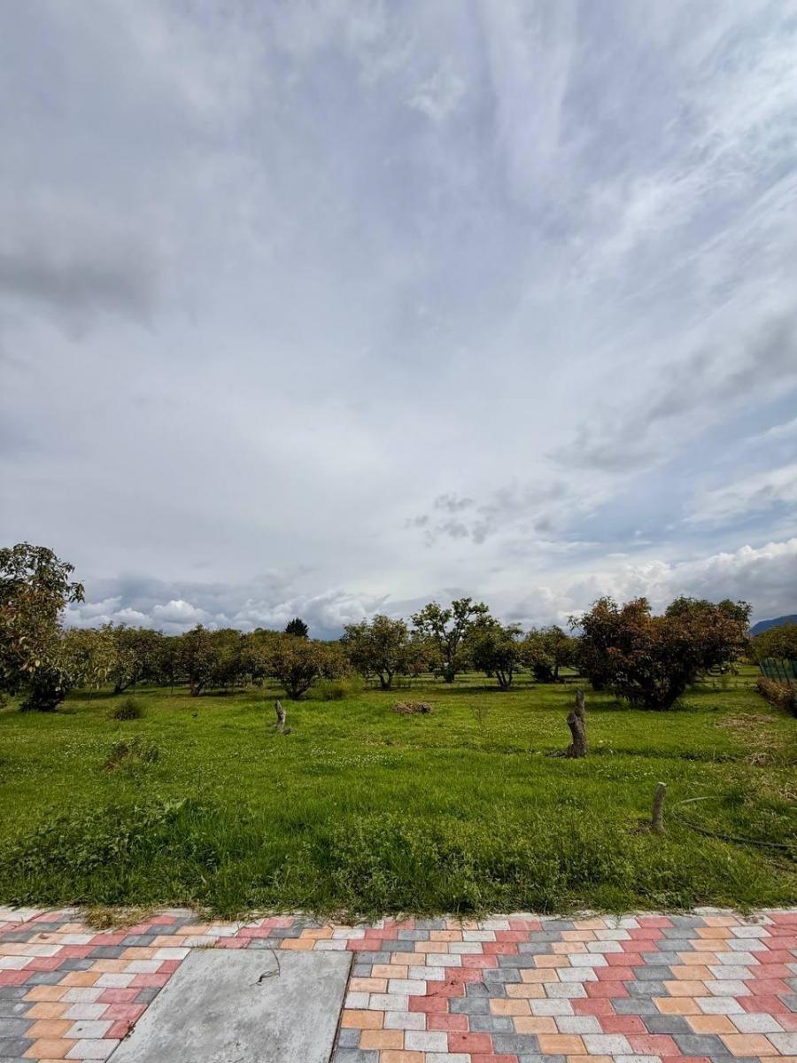 Terreno - en Venta - Puembo 819 m² — imagen 5