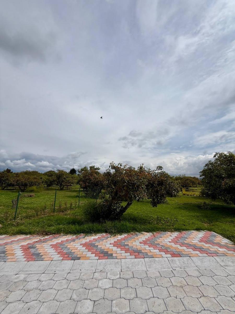 Terreno - en Venta - Puembo 819 m² — imagen 4