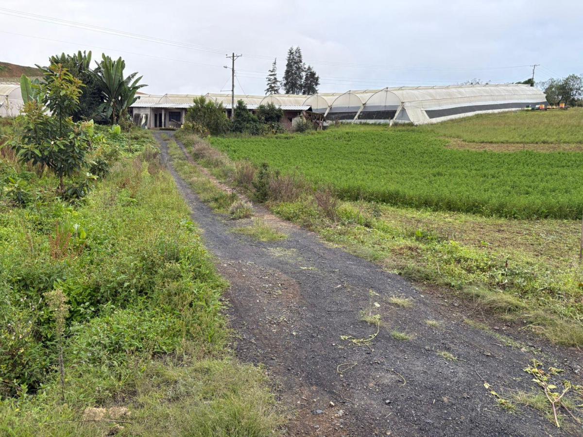 Terreno Agrícola con Casa San Vicente (Prov. Bolívar) — imagen 10