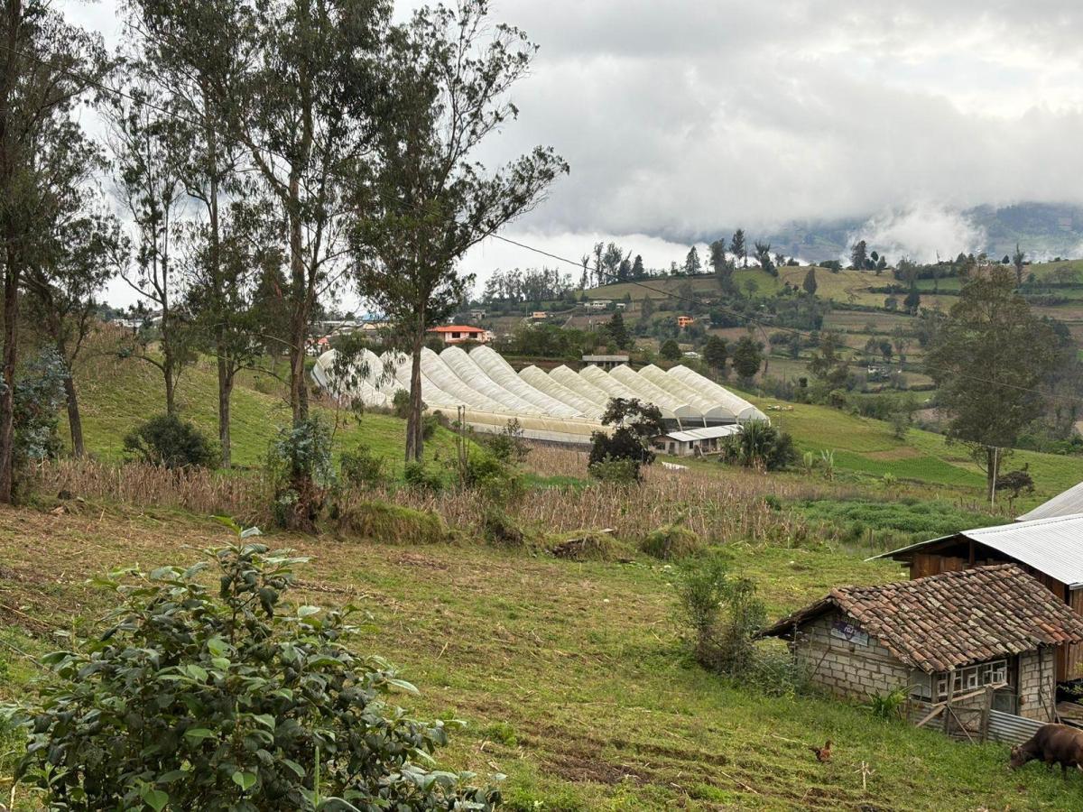 Terreno Agrícola con Casa San Vicente (Prov. Bolívar) — imagen 9